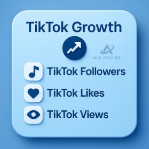 TikTok Service